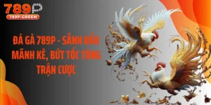 Đá Gà 789P - Sảnh Đấu Mãnh Kê, Bứt Tốc Từng Trận Cược