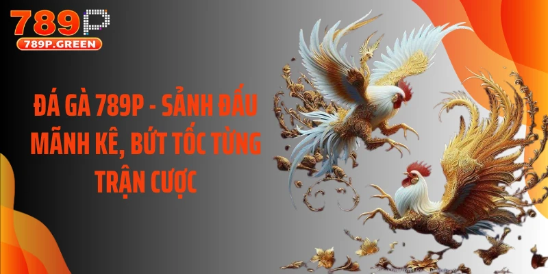 Đá Gà 789P - Sảnh Đấu Mãnh Kê, Bứt Tốc Từng Trận Cược