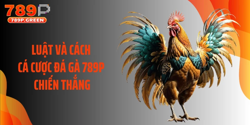 Luật và cách cá cược đá gà 789P chiến thắng
