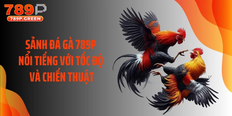 Sảnh đá gà 789P nổi tiếng với tốc độ và chiến thuật